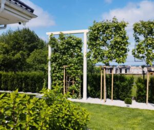 Pergola ogrodowa