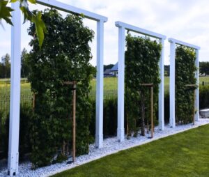 Pergola ogrodowa 3