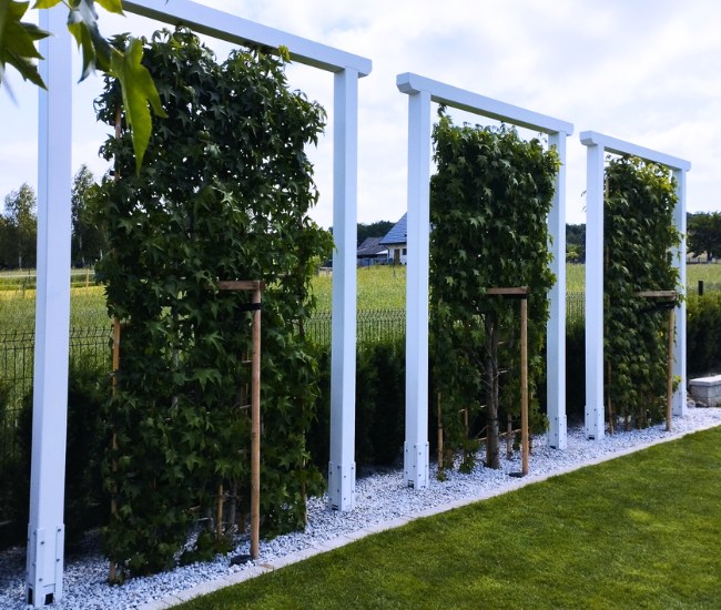 Pergola ogrodowa 3